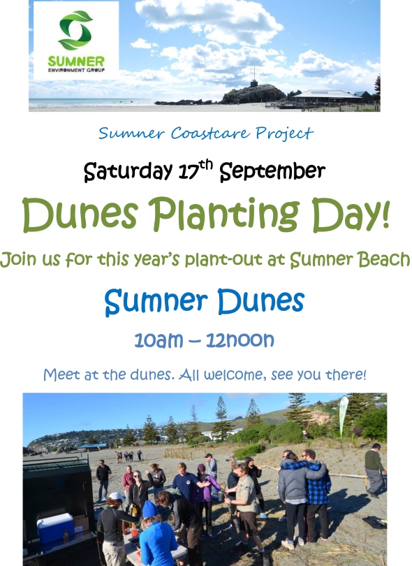 dune-planting-day_saturday-17-september